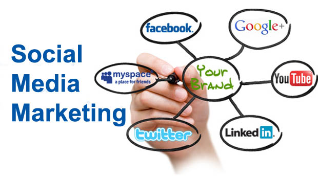Professional social media marketing and management services in Pakistan by Webo Creators