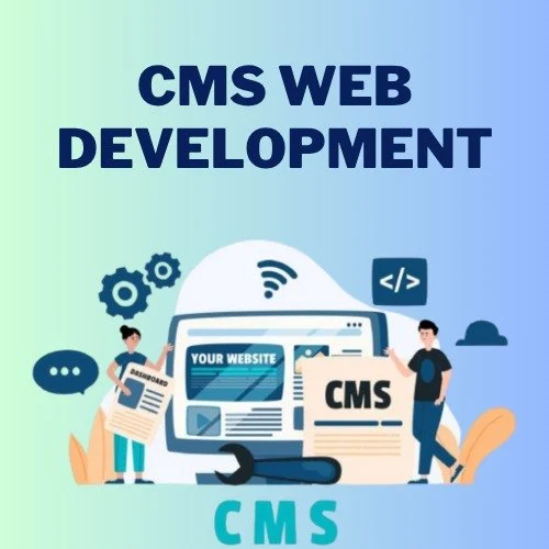 Custom CMS Development Services | CMS Web Application Development in Pakistan